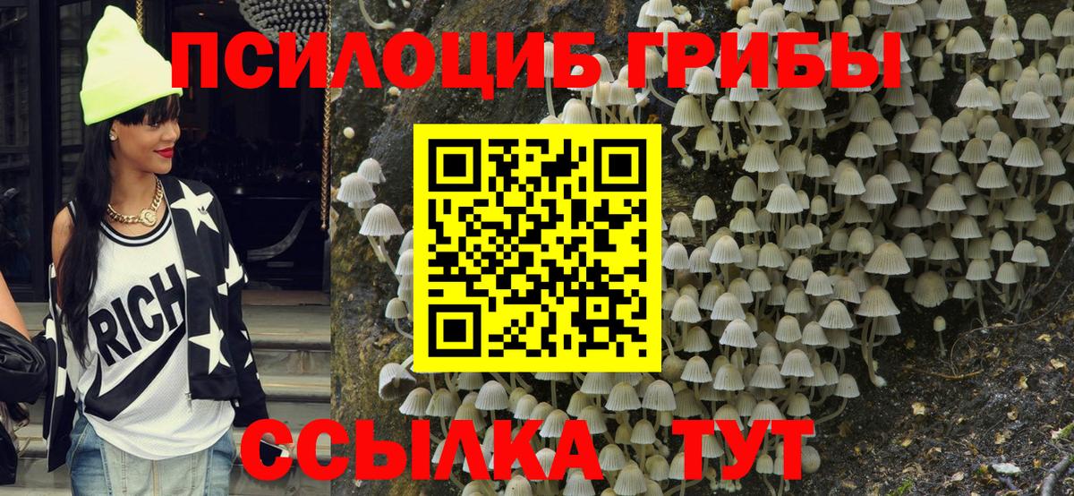 Галлюциногенные грибы GOLDEN TEACHER Красноперекопск