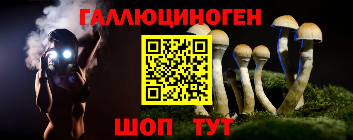 Красноперекопск  Псилоцибиновые грибы мухоморы  Вход с VPN  Галлюциногенные грибы Psilocybe 